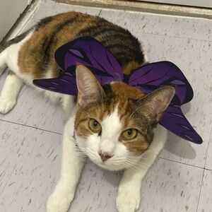 Meet your Posher, Katherine